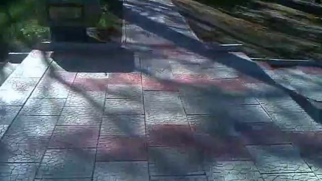 Сан."Зеленый бор".Даже бездомный щенок не ест сырники с ресторана.2018. смотреть онлайн