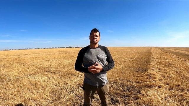 Несвоевременный посев может стоить половины урожайности пшеницы — ТОО Фирма Викаген, СК СХОС смотреть онлайн