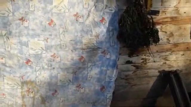 Экстренно утепляем курятник#какбыстроутеплитькурятник_к_зиме#утепляем_курятник_за20минут# смотреть онлайн