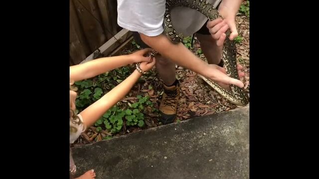 Diamond Python catch & release in Avoca смотреть онлайн