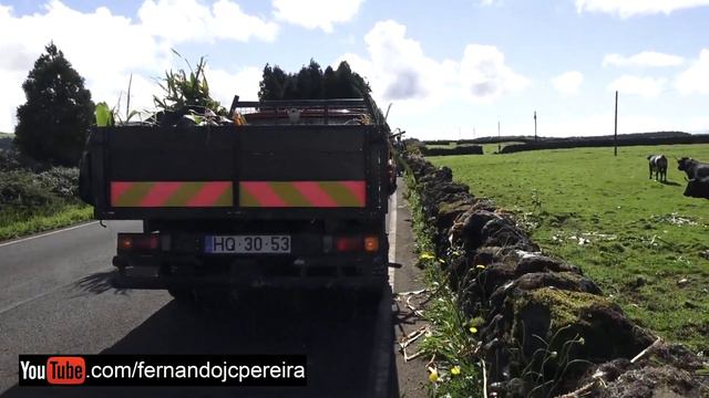 A Paixão Pelos Touros - Ganadaria Eliseu Gomes смотреть онлайн
