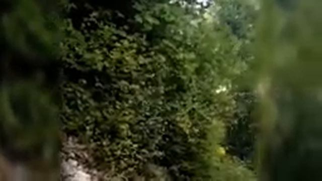 Малая Лаба. Пеший маршрут для детей. смотреть онлайн