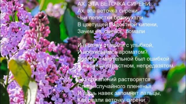 ♣\\♣СИРЕНЬ ♣\\♣Марк Тыщенко.♣\\♣ смотреть онлайн