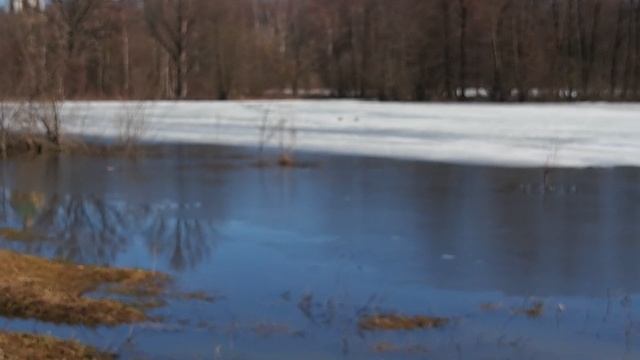 Весна 2022_1 смотреть онлайн