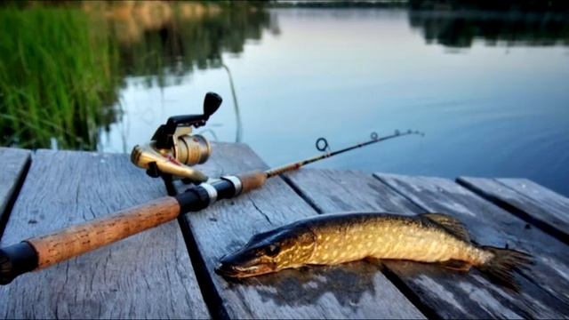 как научится читать водоем смотреть онлайн