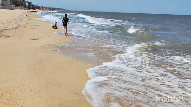 Азовское море #2022. Станица Голубицкая. День 3 смотреть онлайн