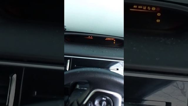 Заводим степку в первые заморозки смотреть онлайн
