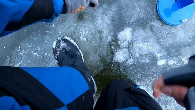 Опасный первый лед!!!Щука на жерлицы!!#fishing #щуканажерлицы #первыйлед смотреть онлайн