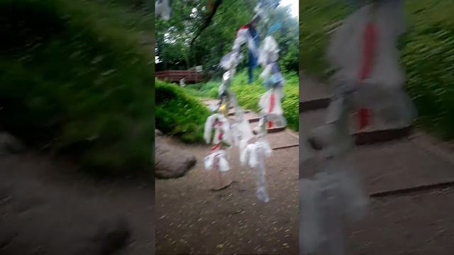 Гусь - камень Коломенского, голова питбуля смотреть онлайн