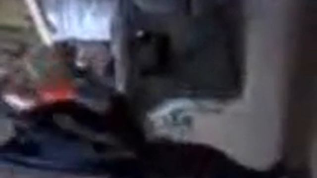 олень тупой смотреть онлайн