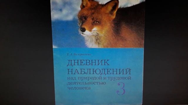 Как вести дневник наблюдений за природой (4 апреля 2021 г.) смотреть онлайн