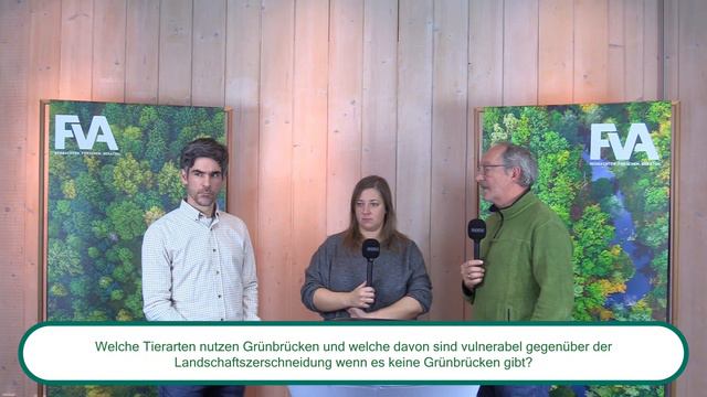 Wildtiere - Wir sind nah dran - Diskussion der Zuschauerfragen und Abschluss смотреть онлайн