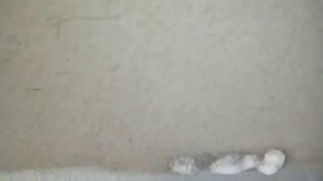 чем почистить салон машины! смотреть онлайн