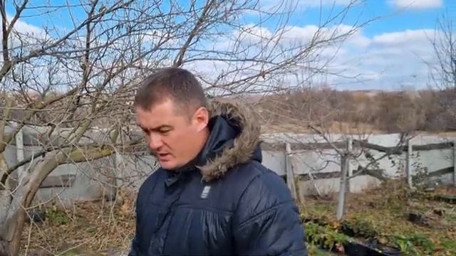 Обрезка шелковицы! смотреть онлайн