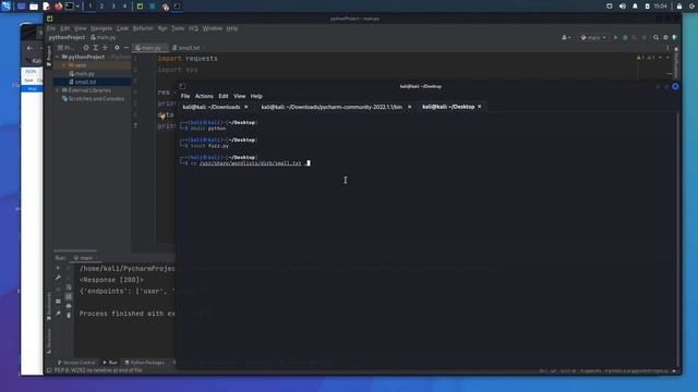 Python For Hackers ALL new API Fuzzer Build смотреть онлайн
