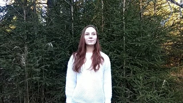 #страна читающая Есенина Володина Ульяна 11 класс МКОУ Горячевская СШ "Заметался пожар голубой" смотреть онлайн