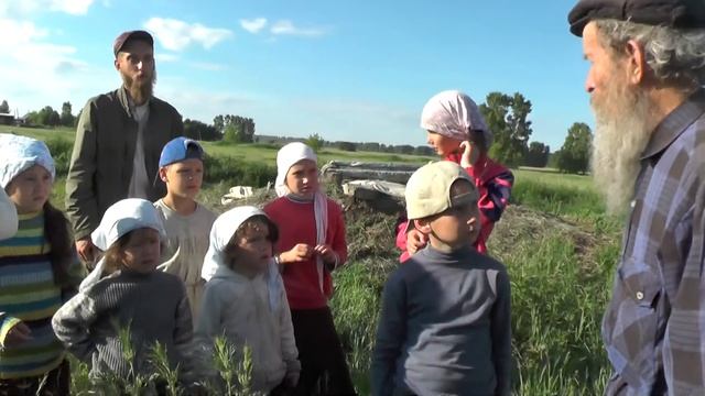 №2. Фроликов. Не бойтесь жгучей крапивы! 16. 06. 2016 смотреть онлайн