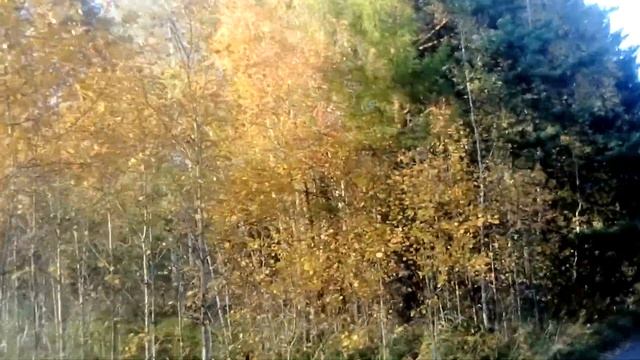 Осенний пейзаж смотреть онлайн