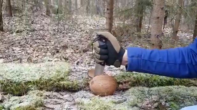 Кузница Братьев Касаткиных Нож Айрус и кокос.