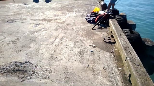 New Zealand. Новая Зеландия. Рыбалка у причала смотреть онлайн