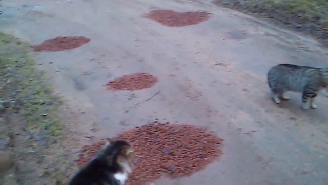 ВАСЯ! БУДЬ ЧЕЛОВЕКОМ! смотреть онлайн
