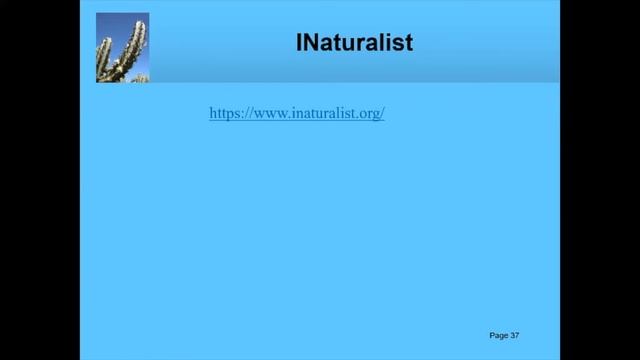 Finding Cacti Using iNaturalist and Google Earth | Tim Zitnak【TCSC Monthly Meeting】20220215 смотреть онлайн