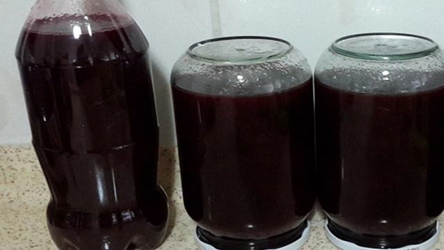 Сборник рецептов