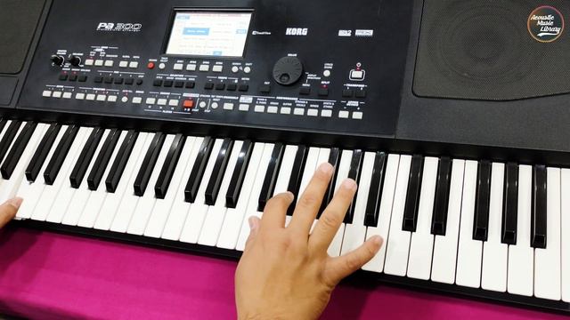 Rajasthani Style | KORG PA-300 | Rhythm Demo