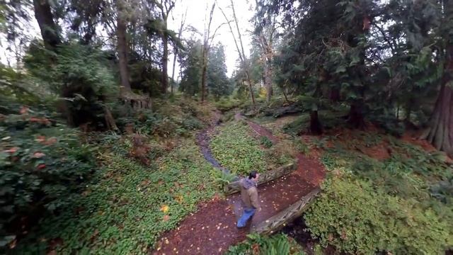 Bloedel Reserve, Botanical Garden, Bainbridge Island, Seattle смотреть онлайн
