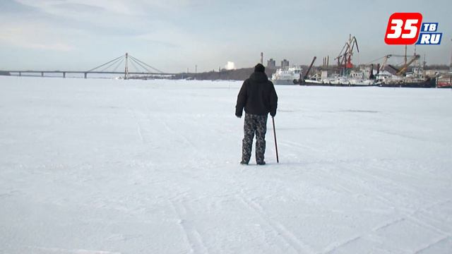 Лед Шексны небезопасен: до критической отметки осталось 3 сантиметра смотреть онлайн