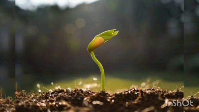 الحقيقة والبحث عنها смотреть онлайн