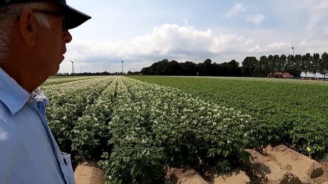 FARMVLOG #184 aardappelen selecteren, EcoRobotix spotsprayer смотреть онлайн
