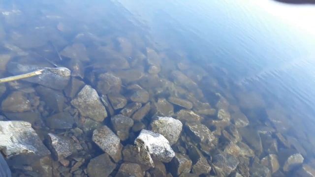 Ловля окуня и судака на спиннинг с берега на канале и озере весной смотреть онлайн