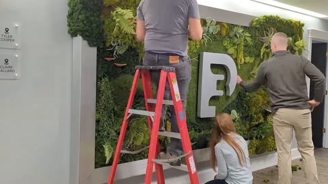 Moss Wall Installation - 3P Marketing смотреть онлайн