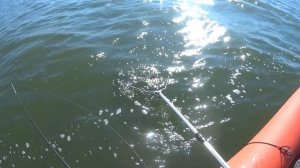 рыбалка на Веселовском водохранилище