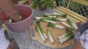 6 соток 20 августа 2024 года. Хроника.