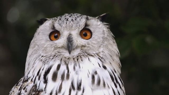 Бесплатные стикеры | Задание №11 смотреть онлайн