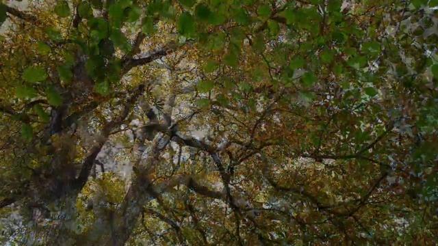 Прогуляемся ? Осенний парк. смотреть онлайн