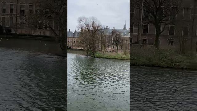 Канал возле замка Бинненхоф. Гаага, Нидерланды/Canal near the Binnenhof castle. The Hague смотреть онлайн