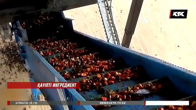 Түрлі ауру тарататын пальма майына тыйым салынуы мүмкін / 7. 03. 2018 смотреть онлайн