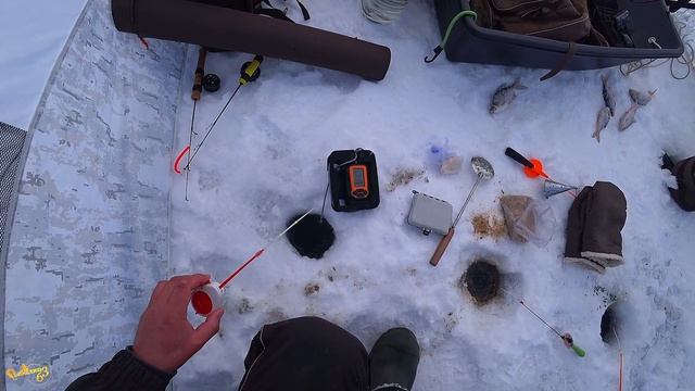 Хороший клев плотвы в морозный день Рыбалка в конце зимы смотреть онлайн