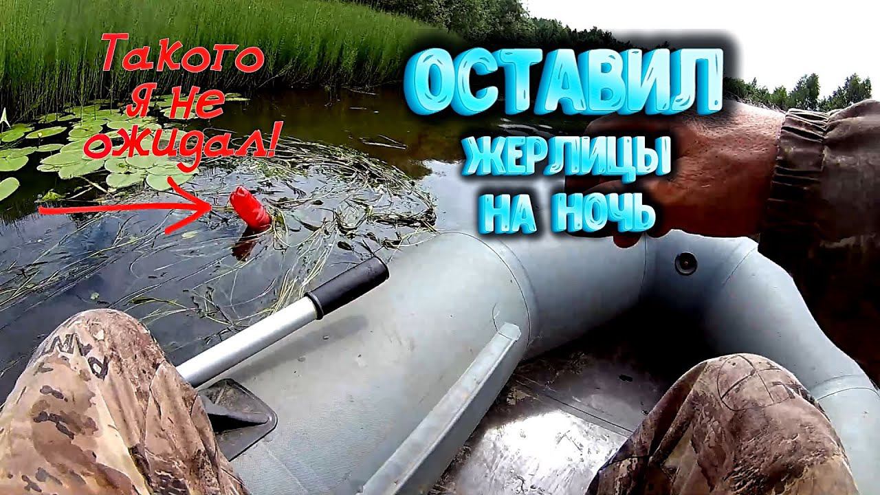 Оставил жерлицы на ночь Такого я не ожидал! смотреть онлайн