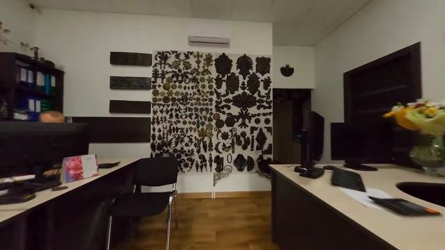 Офис LAZER116 смотреть онлайн