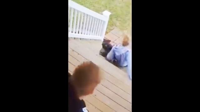 Random Memes Compilation #11 смотреть онлайн