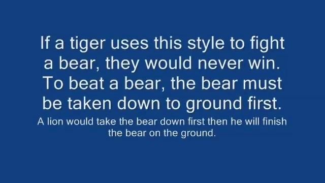 Grizzly Bear vs Tiger Fight - Ultimate Fighter Revealed смотреть онлайн