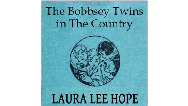 17 - A Town Afloat of The Bobbsey Twins in the Country by Laura Lee HOPE смотреть онлайн
