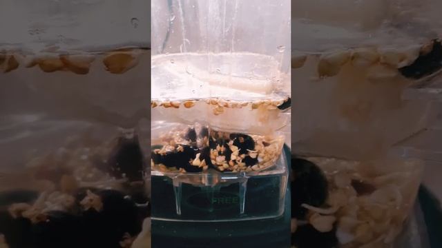 Смузи из зелёной гречки.