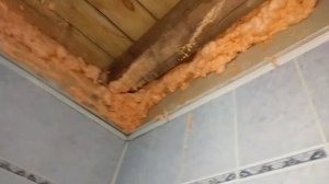 POLYNOR Полинор отзыв. новомодный утеплитель или очередной маркетинг?