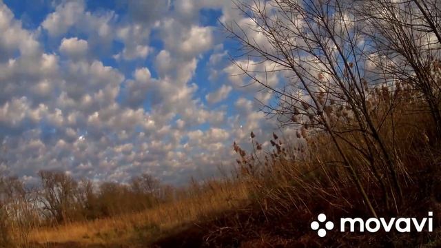 Охота на шакала. Весёлый денёк. смотреть онлайн