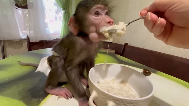 У нас в доме ДВА ДОКТОРА -Люся и носушонок! Мы будем жить ДОЛГО и ВЕСЕЛО))) смотреть онлайн